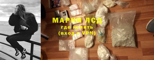 стафф Арсеньев