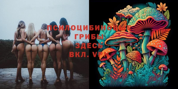 стафф Арсеньев