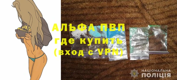 стафф Арсеньев