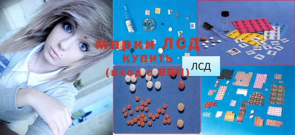 стафф Арсеньев