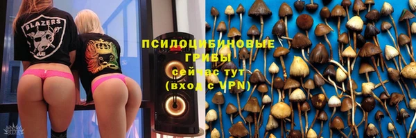 стафф Арсеньев