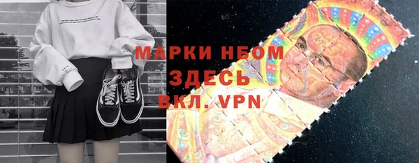 стафф Арсеньев